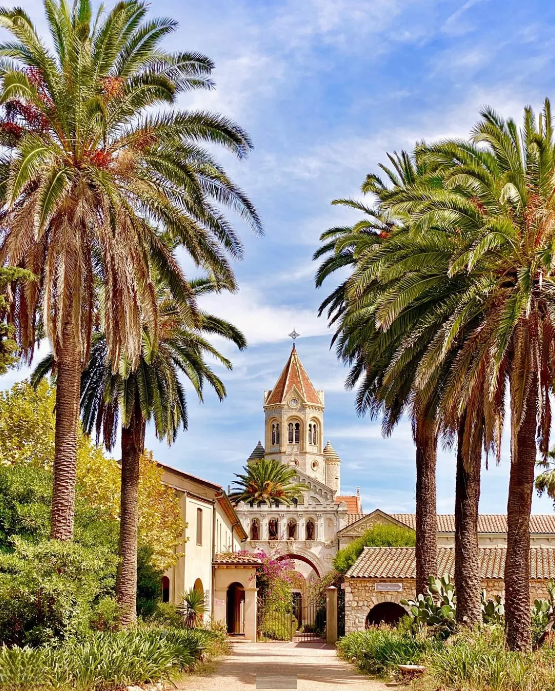 L'allee de palmiers menant a l'abbaye de Lerins sur Saint-Honorat