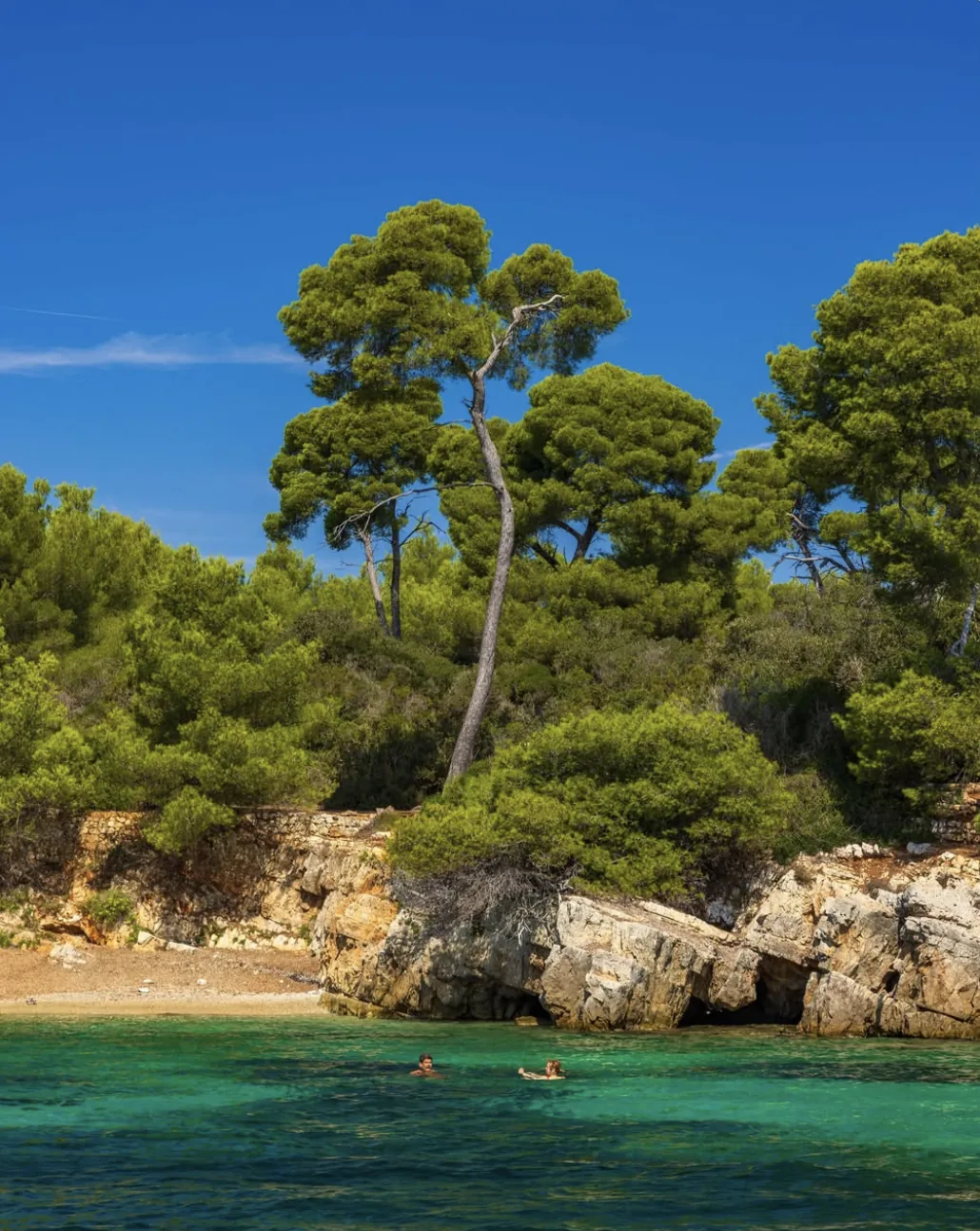 Une crique turquoise bordee de pins sur l'ile Saint-Honorat