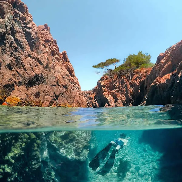 Snorkeling dans une eau claire au pied des roches rouges de l'Esterel