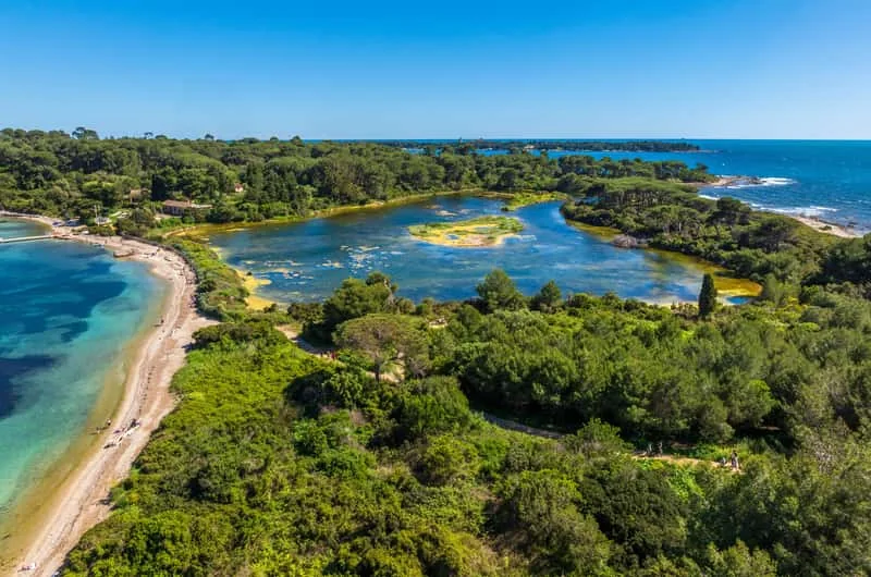 L'etang ornithologique du Bateguier au coeur de l'ile Sainte-Marguerite