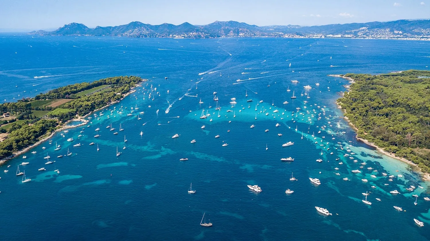Des centaines de bateaux au mouillage entre les deux iles de Lerins