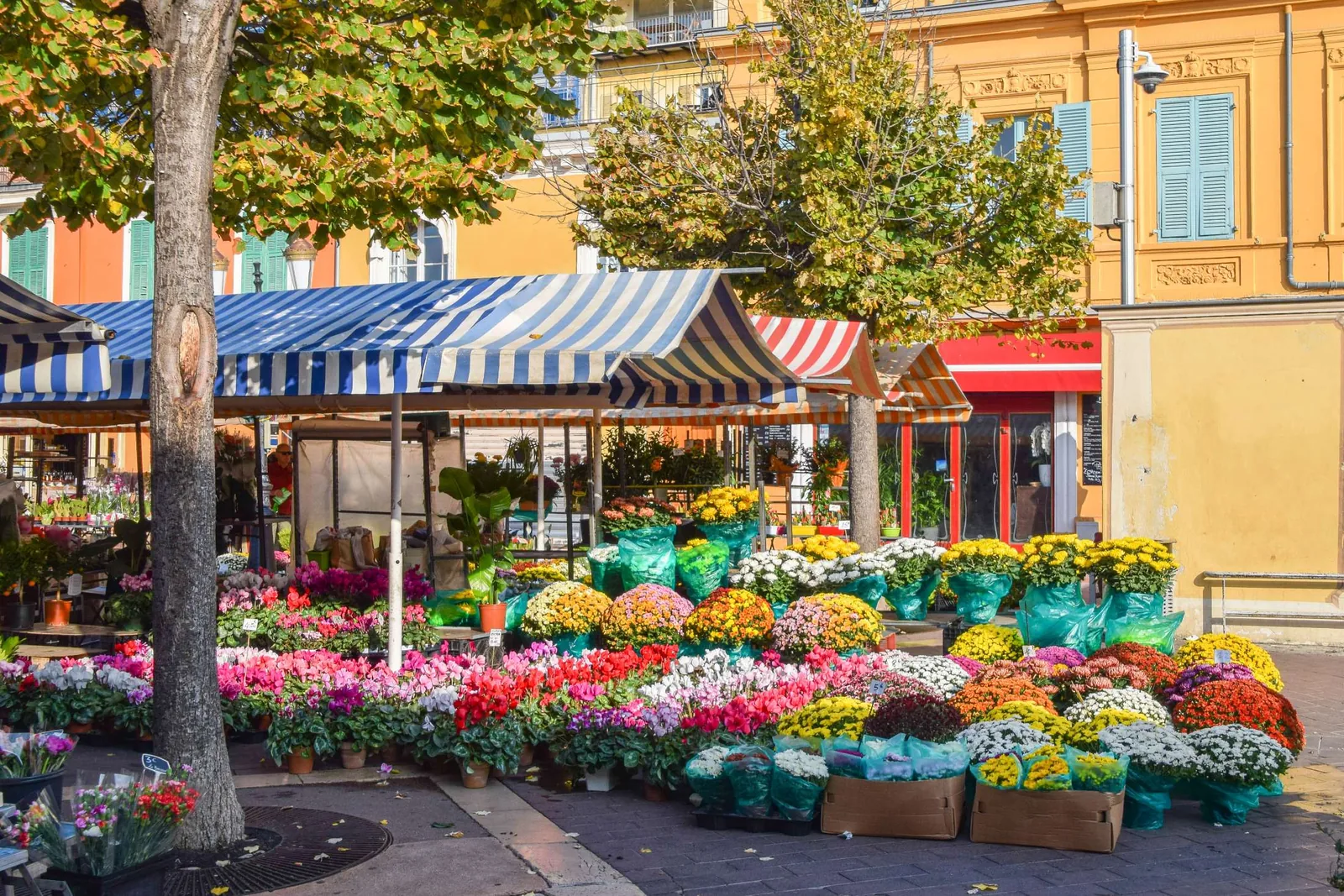 Le marché aux fleurs du cours Saleya au petit matin