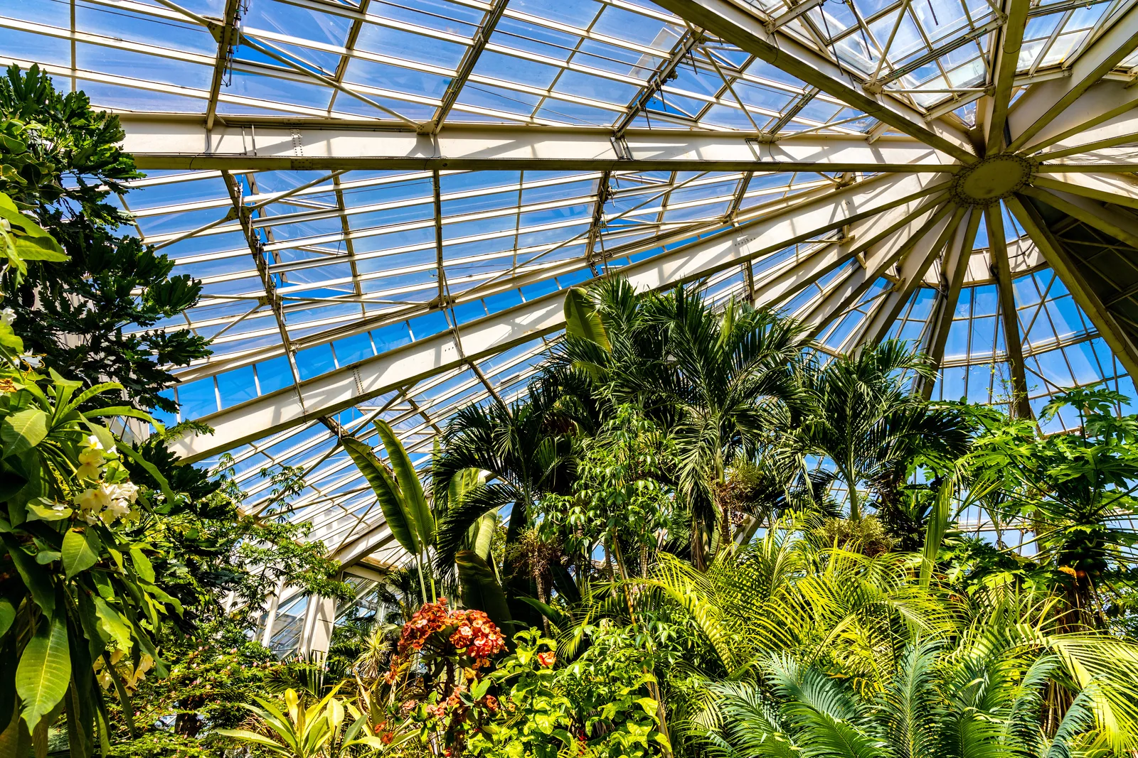 La grande serre du parc Phoenix à Nice, symbole de la ville d’aujourd’hui
