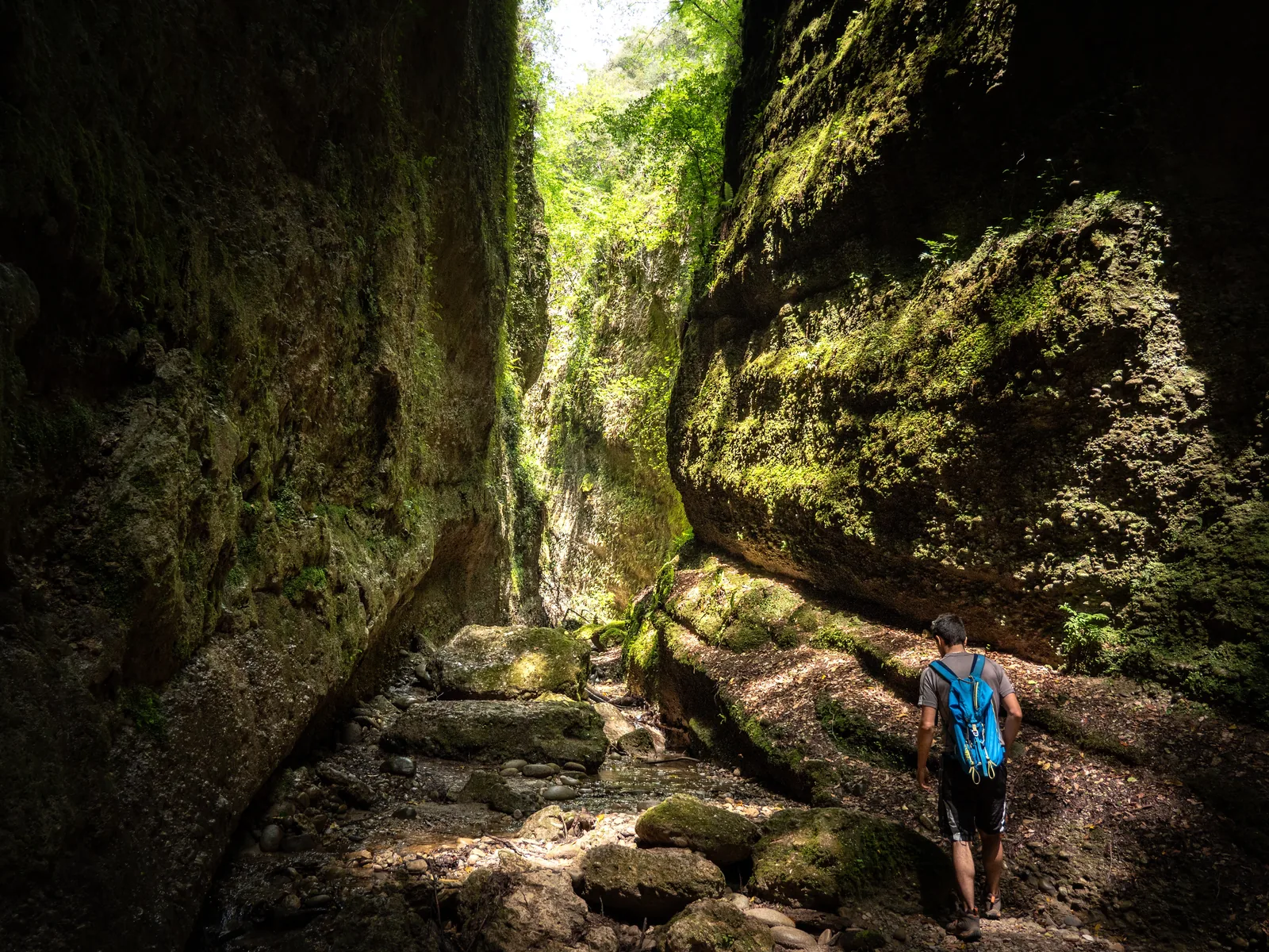 Un sentier ombragé longeant une rivière dans la végétation luxuriante des vallons obscurs